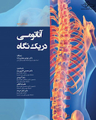 آناتومی دریک نگاه